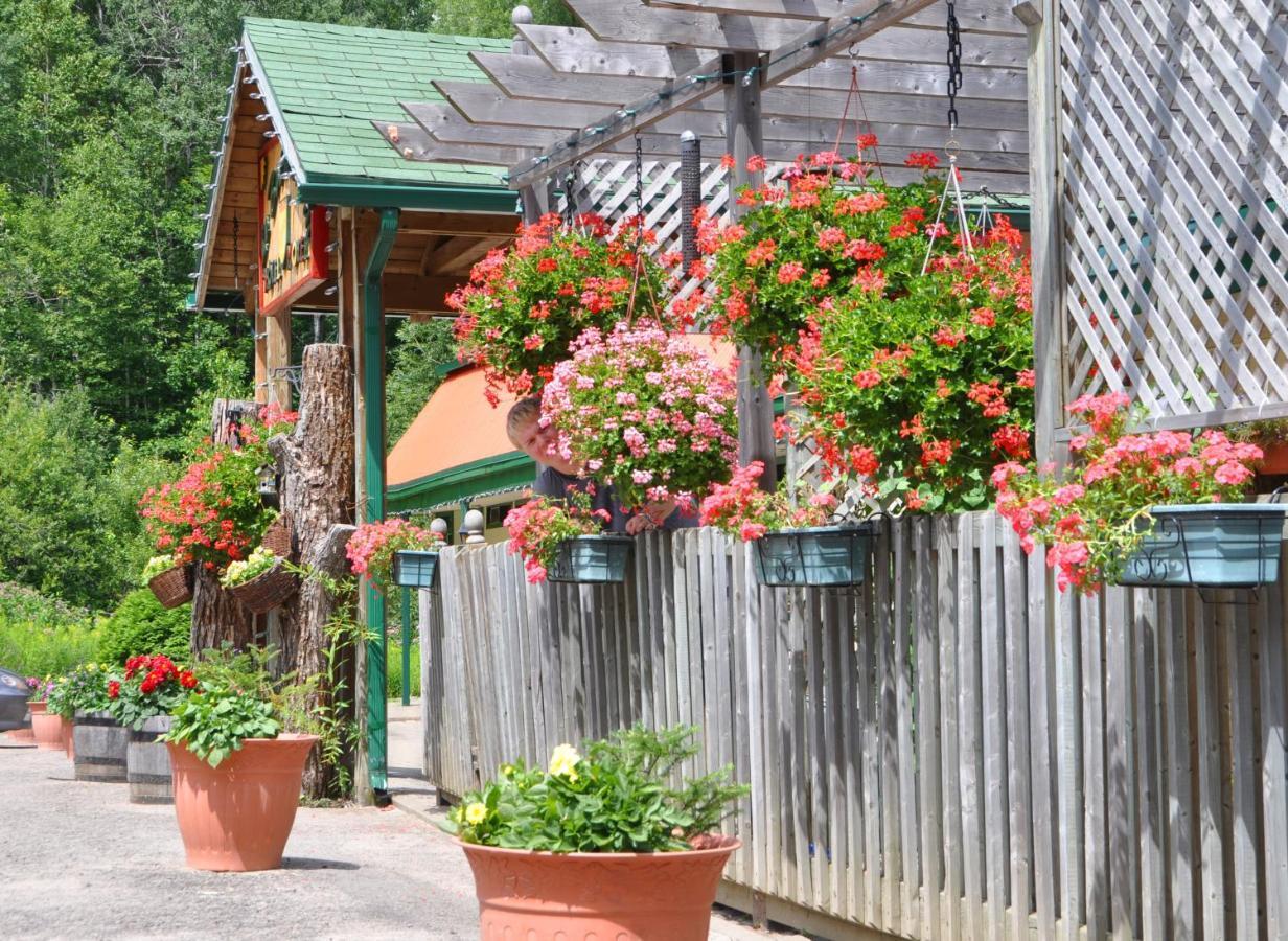 Le Boise Du Lac Mont-Tremblant Kültér fotó